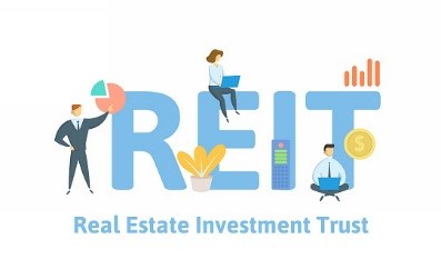 Real Estate Investment Trust (REIT)